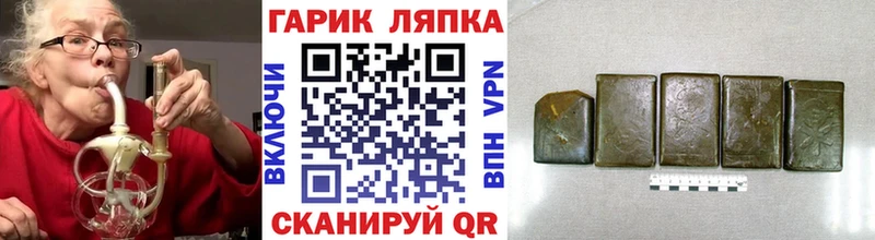 ГАШ Premium Дубна