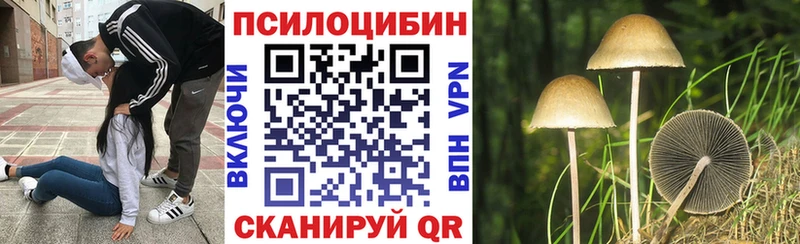 Псилоцибиновые грибы мицелий  Дубна 